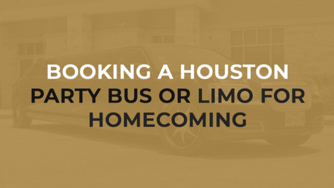 traveling luggage in airport terminal building with passenger plane flying over runway